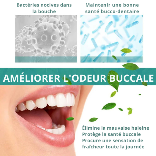 Assainisseur d'Haleine à la Menthe